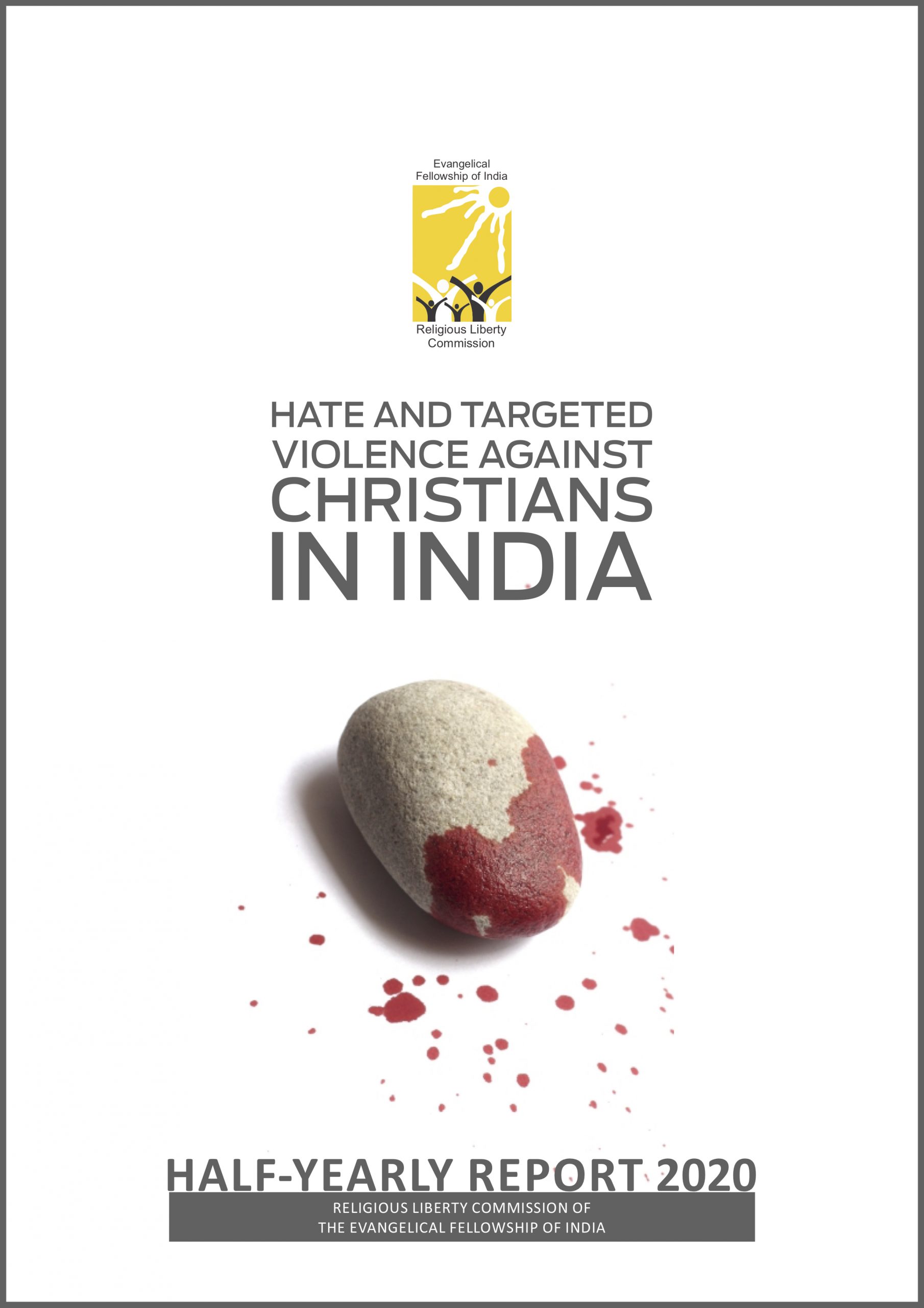 EFIRLC Half Yearly Report 2020 Cover Image